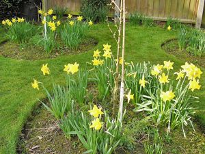 Garden- click for photo gallery